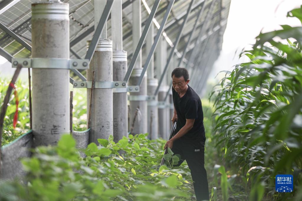 捕鱼娱乐平台